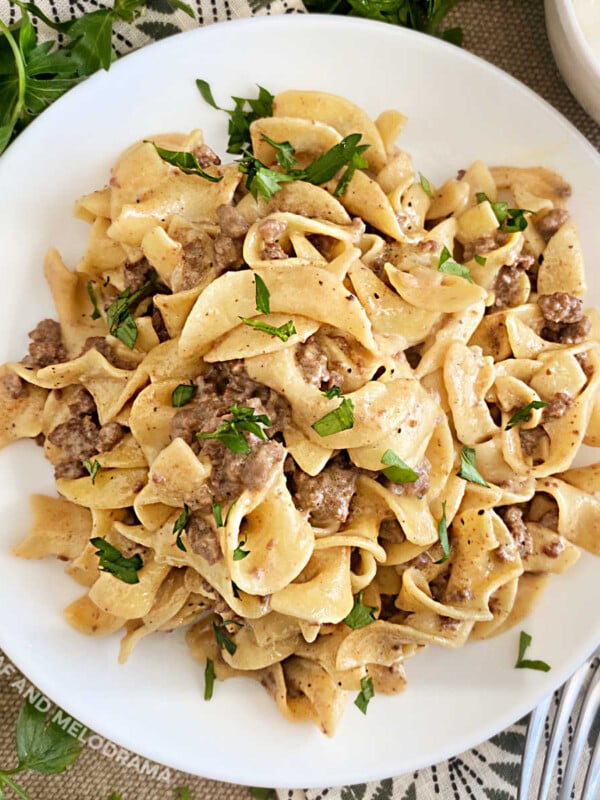 instant pot ground beef stroganoff with egg noodles on white plate