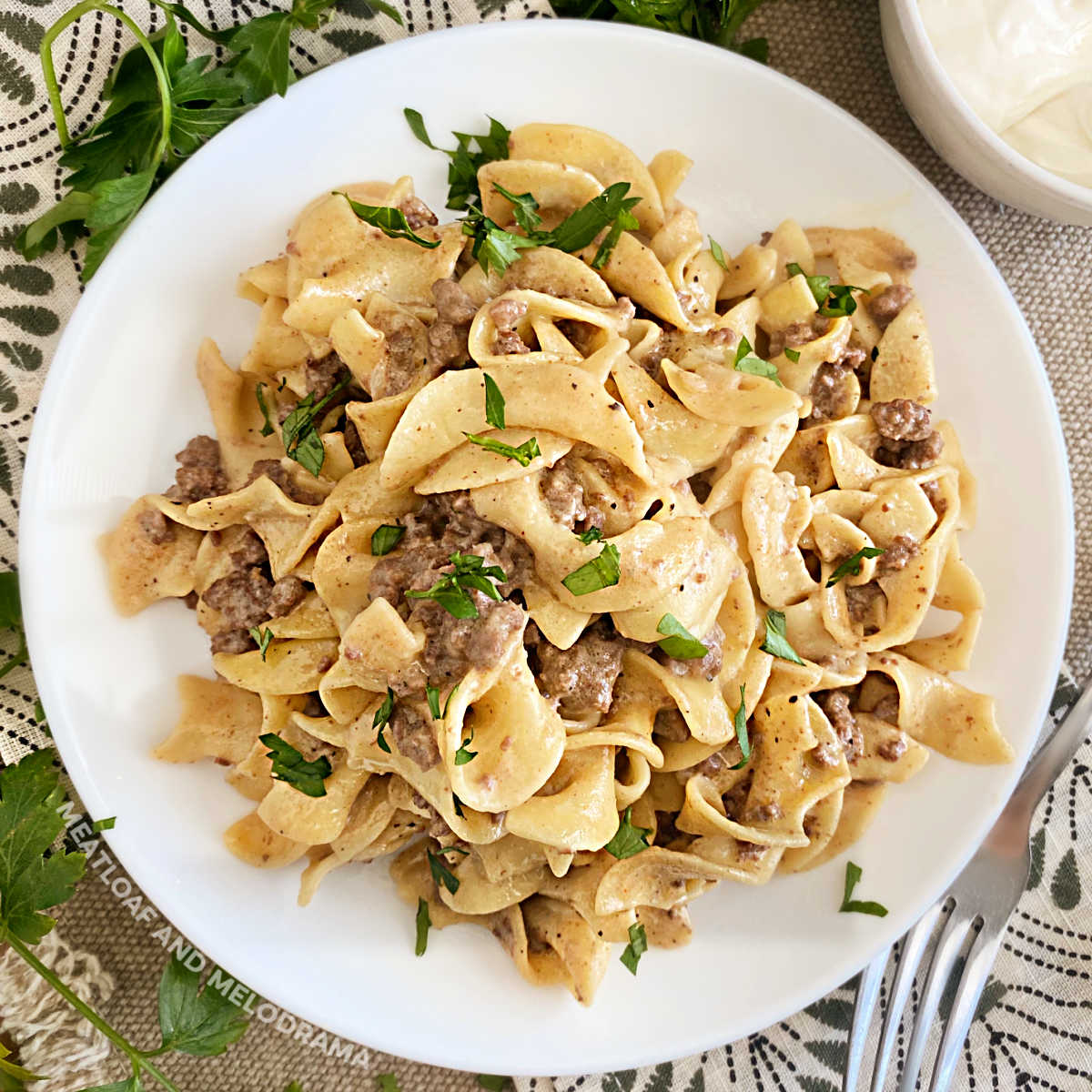 instant pot ground beef stroganoff with egg noodles on white plate