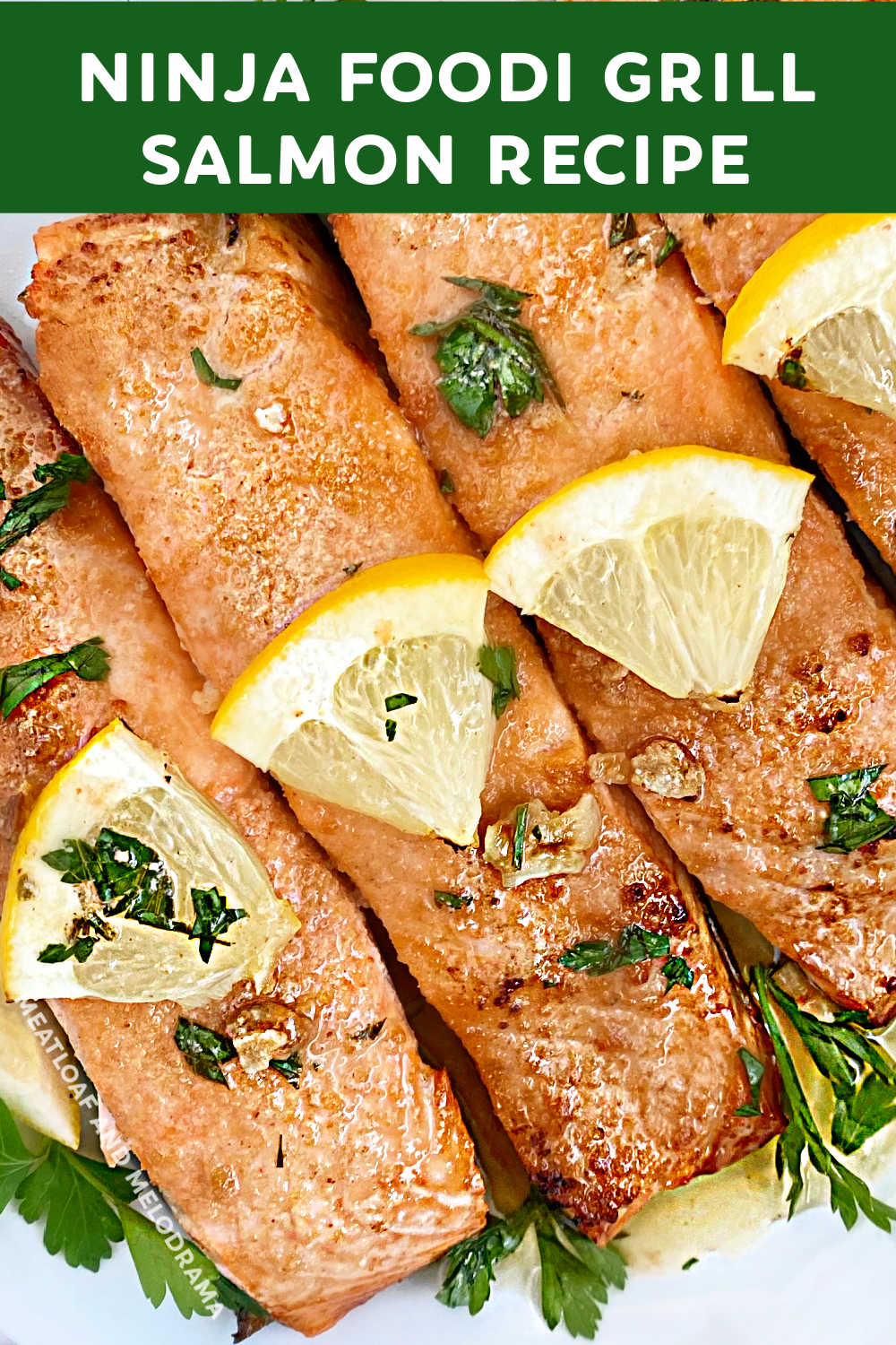This Easy Ninja Foodi Grill Salmon Recipe with a simple lemon garlic butter sauce takes minutes to cook on the indoor grill. Enjoy this delicious, healthy dinner all year long. It's low carb and Keto friendly, too! Ninja Foodi grill recipes via @meamel