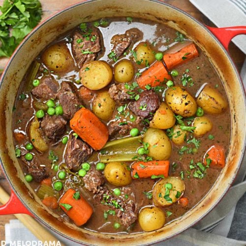 Best Dutch Oven Beef Stew Recipe Meatloaf and Melodrama