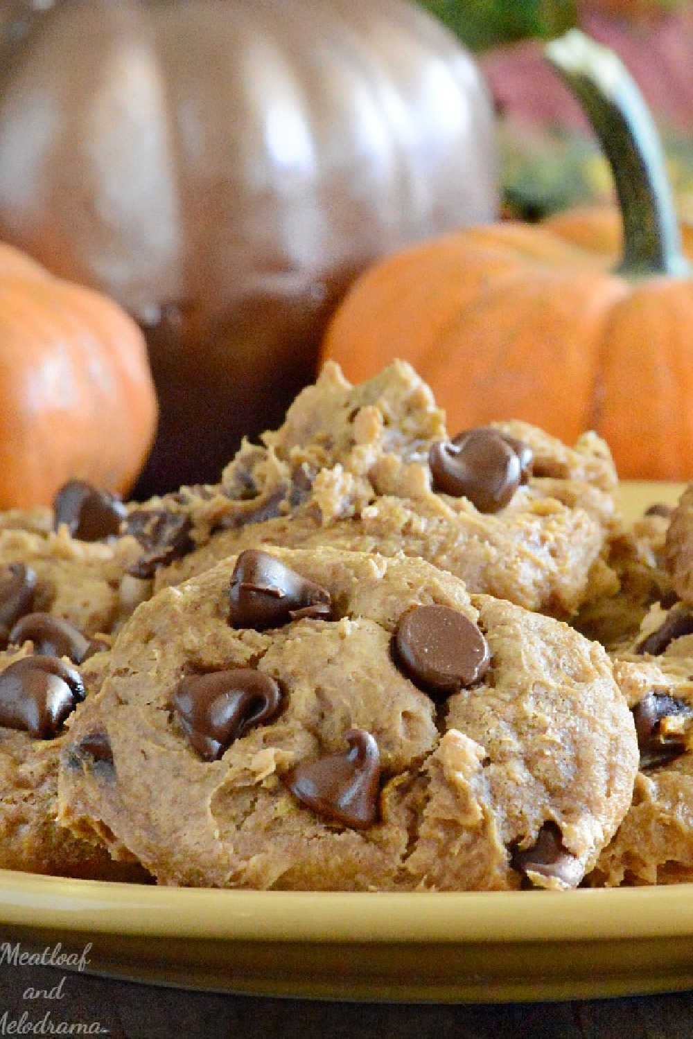 plate of pumpkin chocolate chip cookies made with spice cake mix