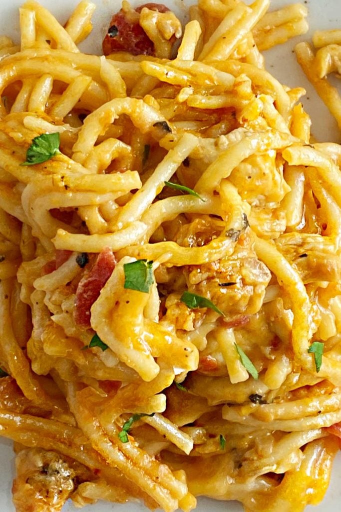 close up of cheesy chicken spaghetti noodles