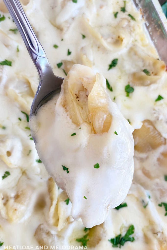 chicken alfredo stuffed shells on serving spoon