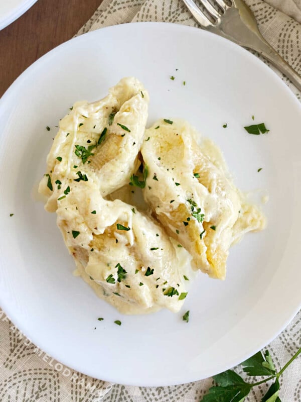 chicken Alfredo stuffed shells with parsley on a white plate