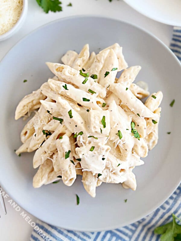 chicken alfredo penne pasta on blue plate