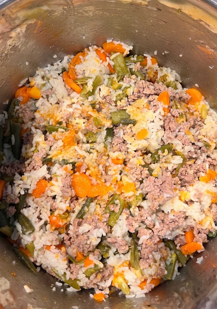 homemade dog food with turkey, rice, green beans and carrots in the instant pot