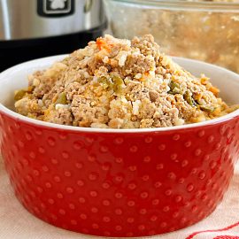 homemade instant pot dog food in a red bowl