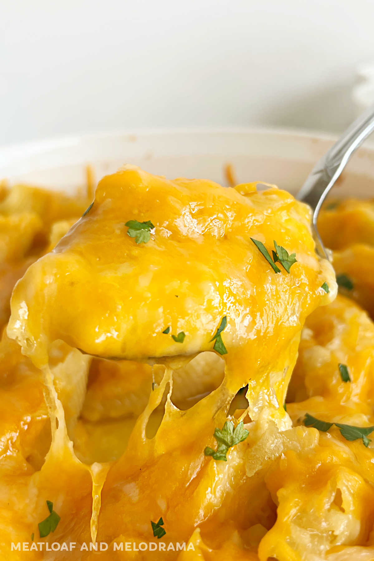 pierogi stuffed shells with melted cheddar cheese and parsley on serving spoon