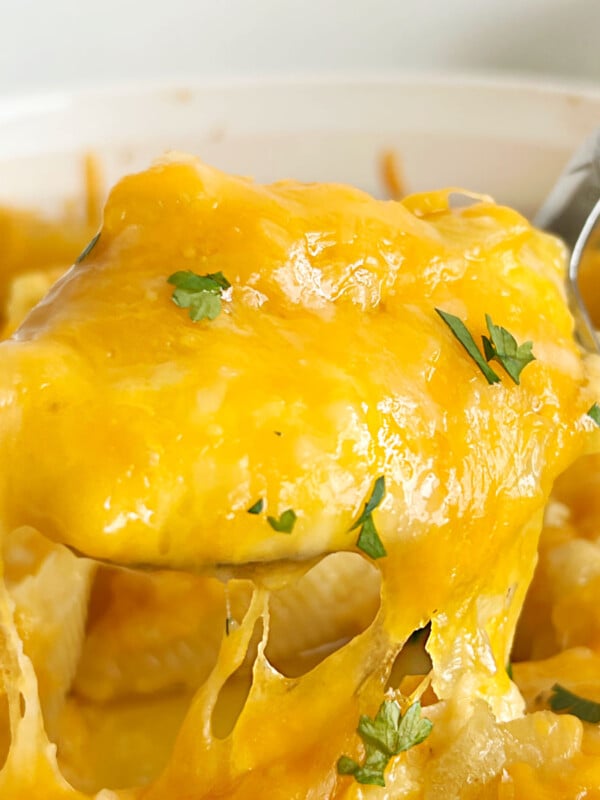 pierogi stuffed shells with cheddar cheese on a serving spoon