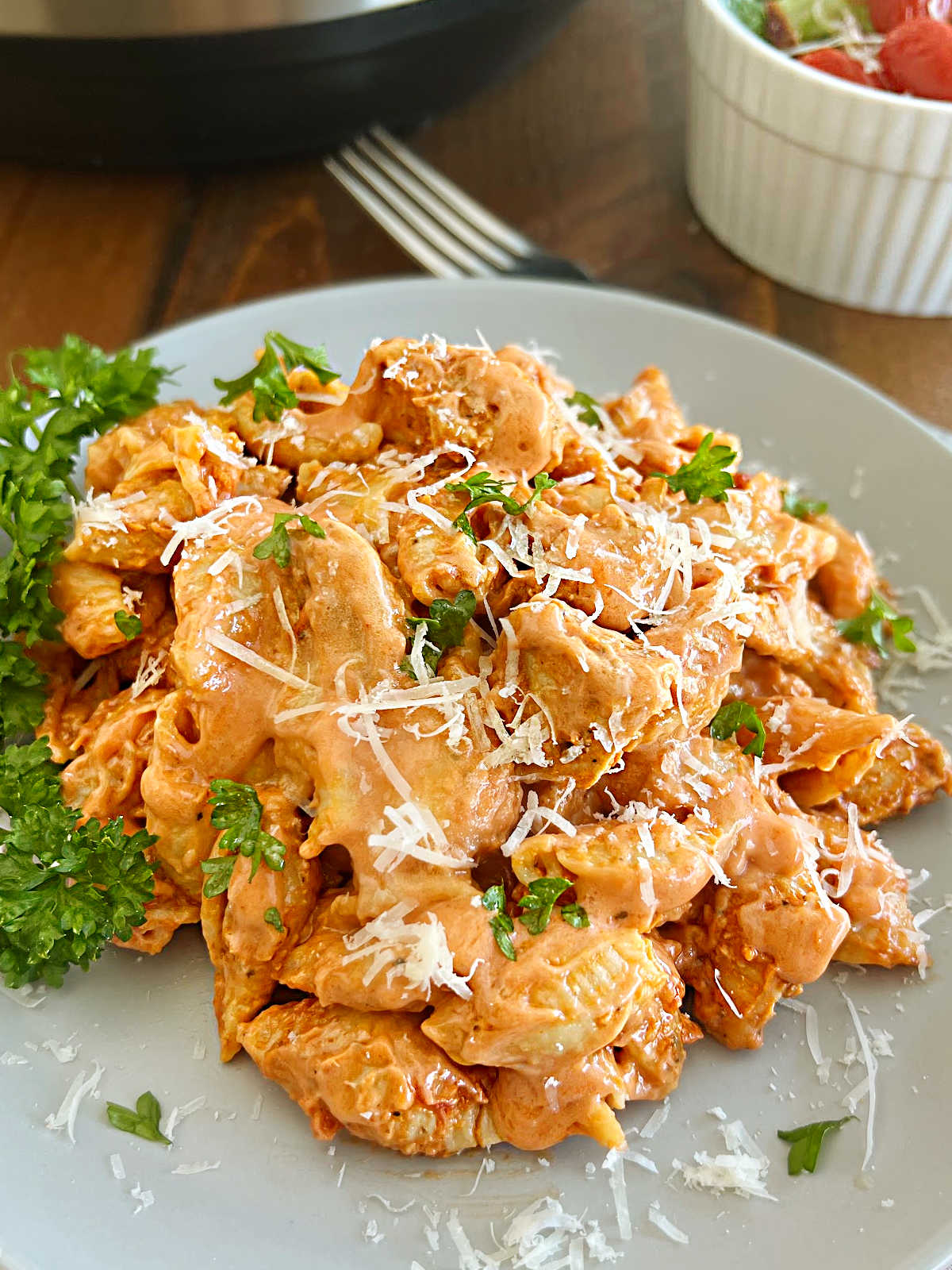 plate of instant pot creamy chicken pasta with parmesan cheese