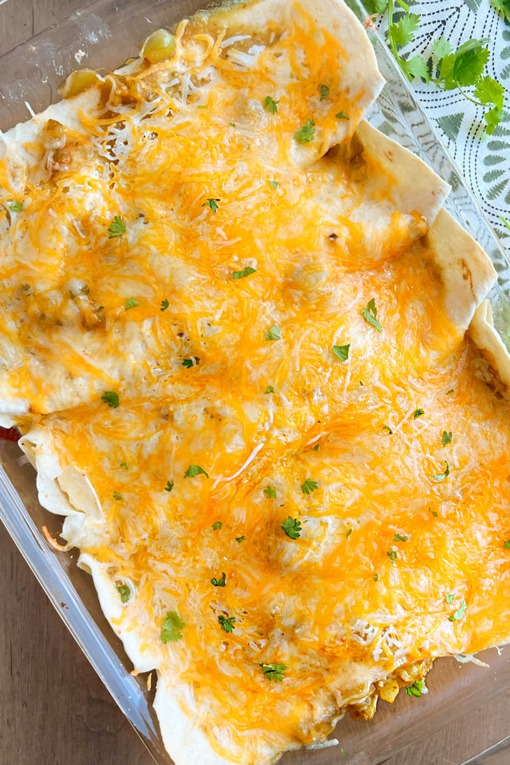 creamy instant pot chicken enchiladas in baking dish with melted cheese and cilantro