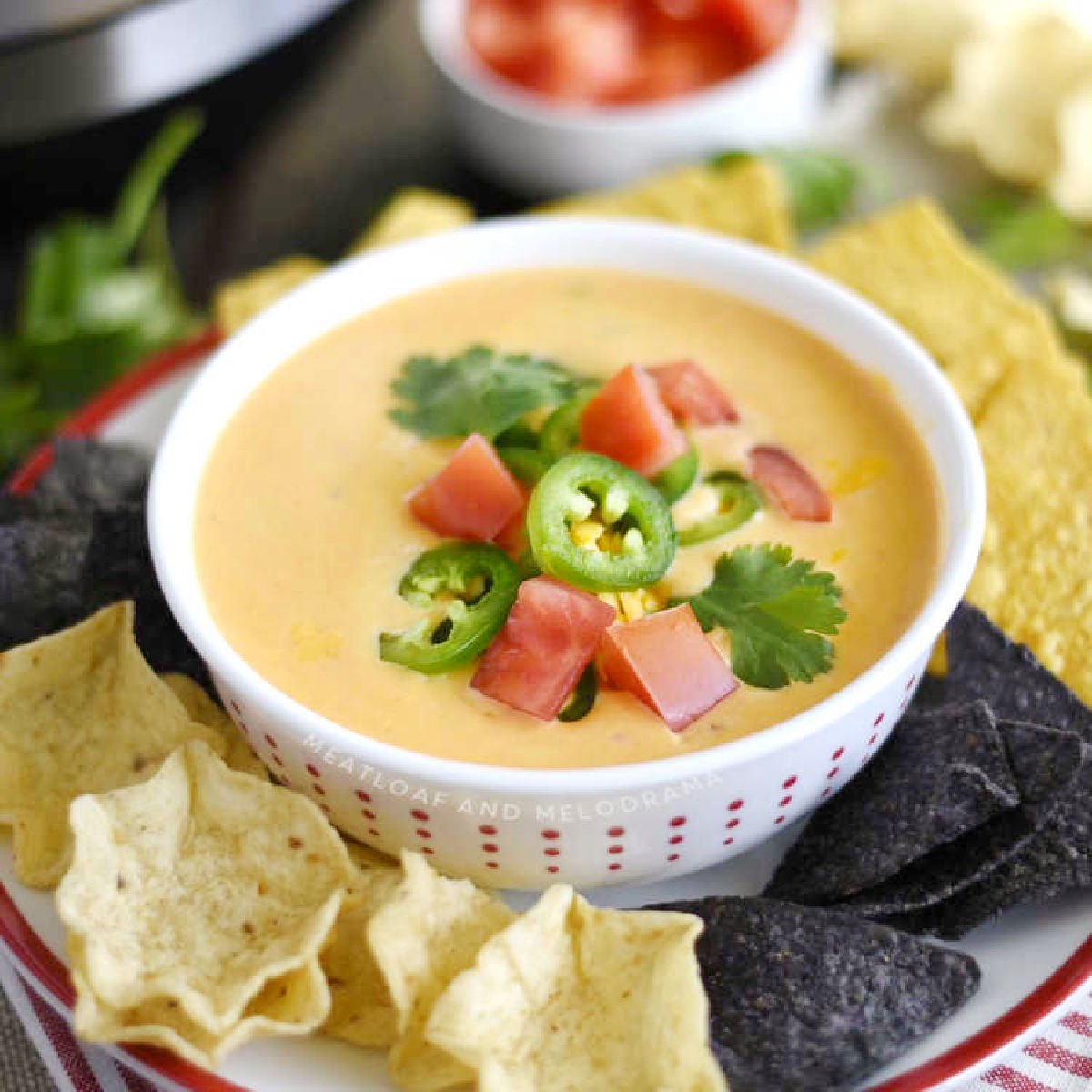 instant pot queso dip in a bowl with cheddar cheese, jalapeno, tomatoes and tortilla chips