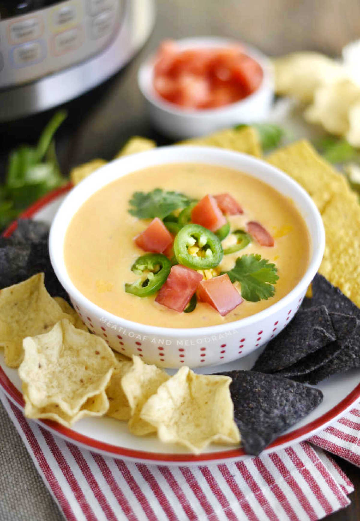 bowl of instant pot queso dip on the table with tortilla chips