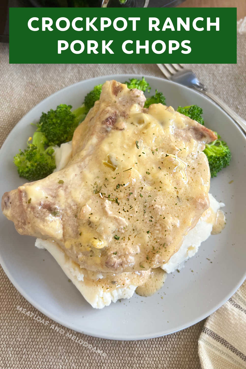 This Crockpot Ranch Pork Chops recipe uses bone-in pork chops and a few simple ingredients to make tender pork chops in the slow cooker. Your whole family will love this easy slow cooker recipe! via @meamel