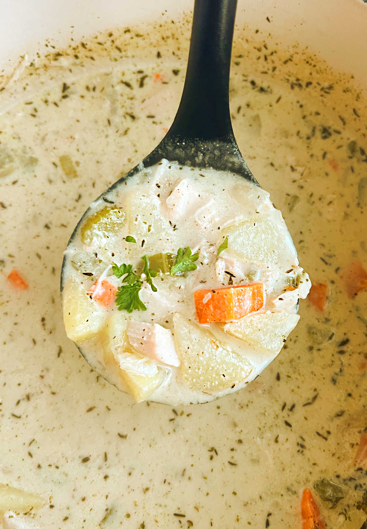 chicken potato soup with carrots in a ladle