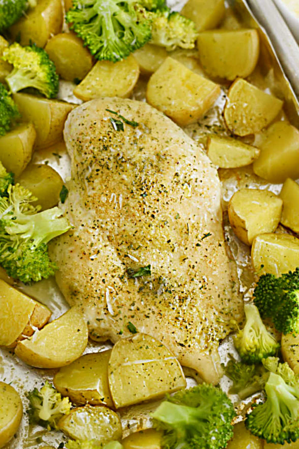 baked ranch chicken and potatoes with broccoli and Parmesan cheese on sheet pan