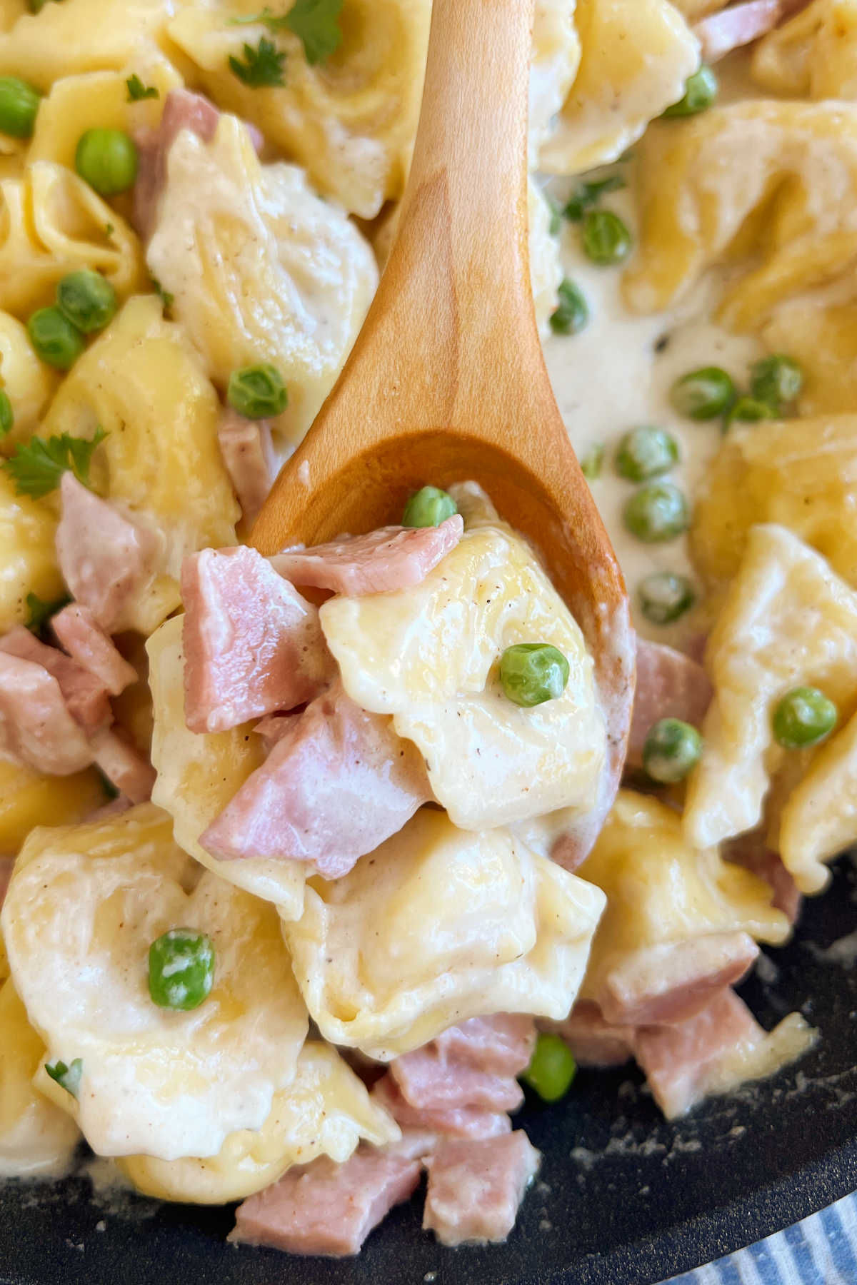 cheese tortellini with ham and peas in garlic parmesan cheese sauce on wooden spoon