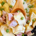 tortellini with ham and peas in creamy Parmesan cheese sauce on wooden spoon