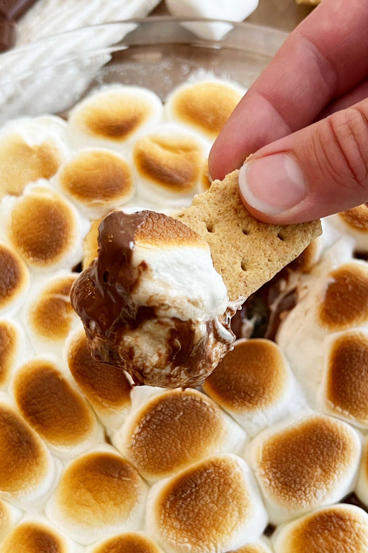 easy smores dip on a graham cracker with melted chocolate and marshmallows
