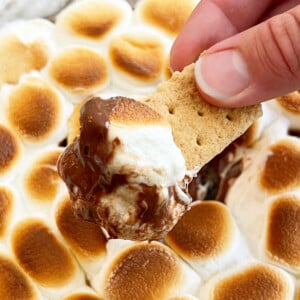 easy smores dip with melted chocolate and gooey marshmallows on a graham cracker