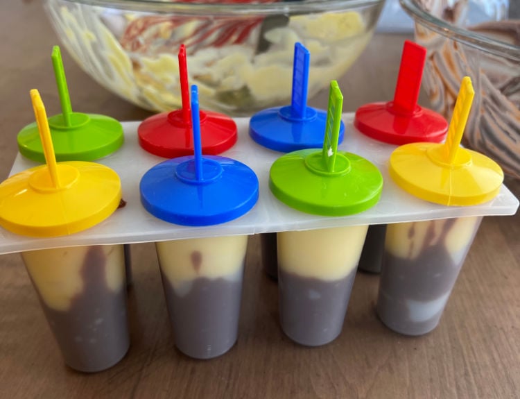 homemade pudding pops in popsicle mold