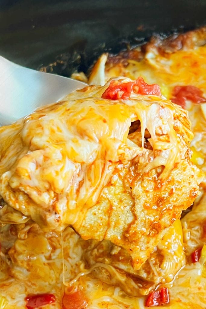 crockpot chicken enchilada casserole with melted cheese on serving spoon.