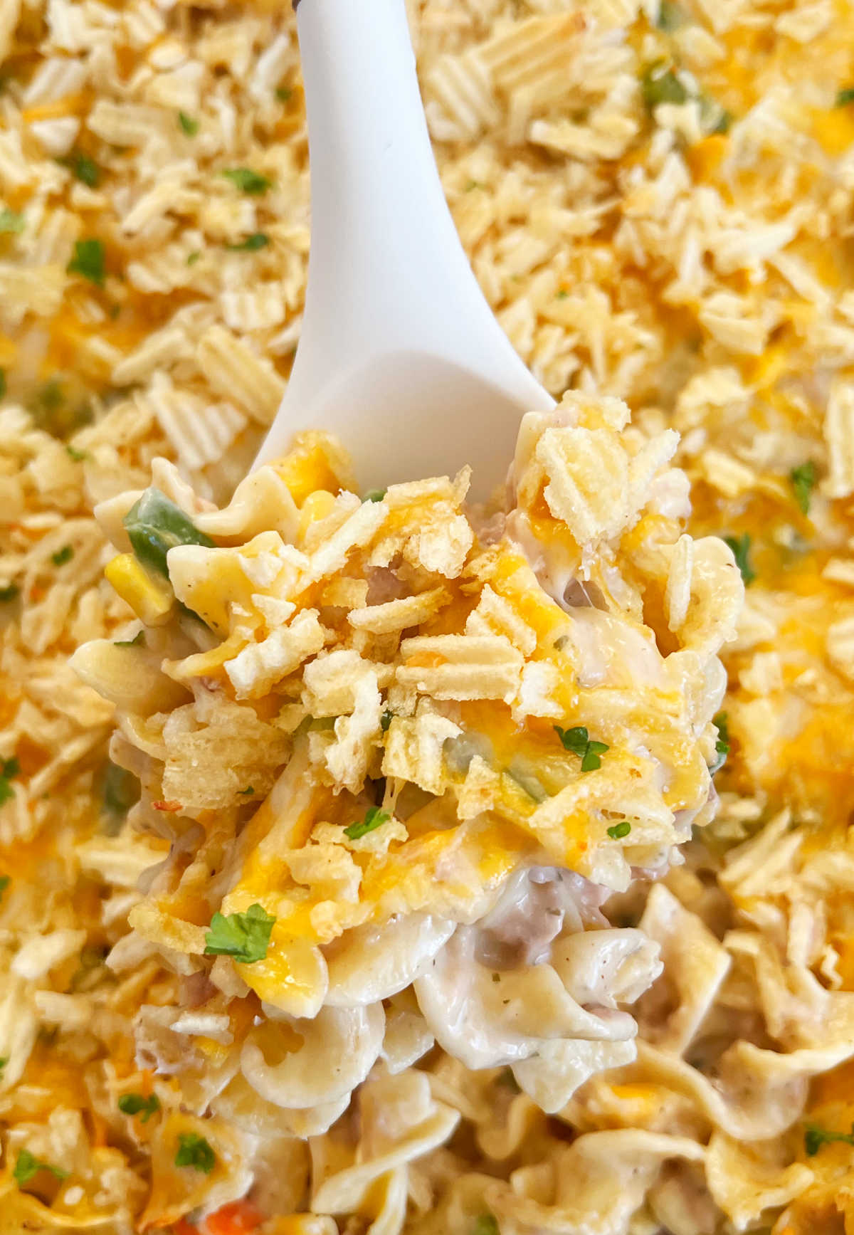 old fashioned tuna casserole with potato chips and cheese on serving spoon.