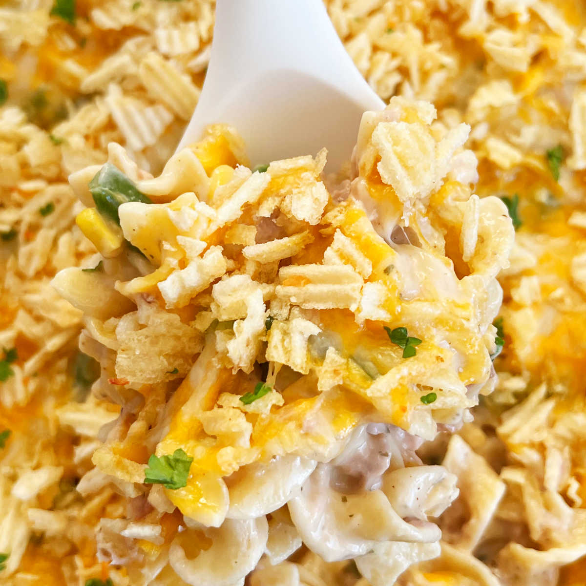 tuna casserole with potato chips and cheese on serving spoon.