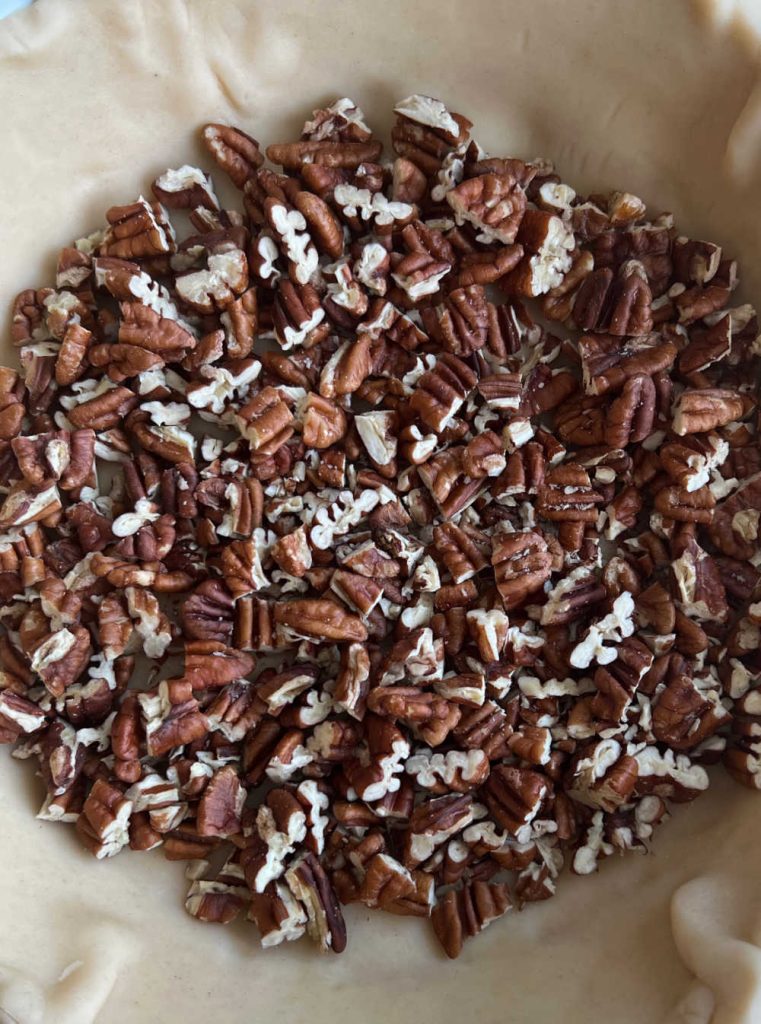 chopped pecans in unbaked pie shell.