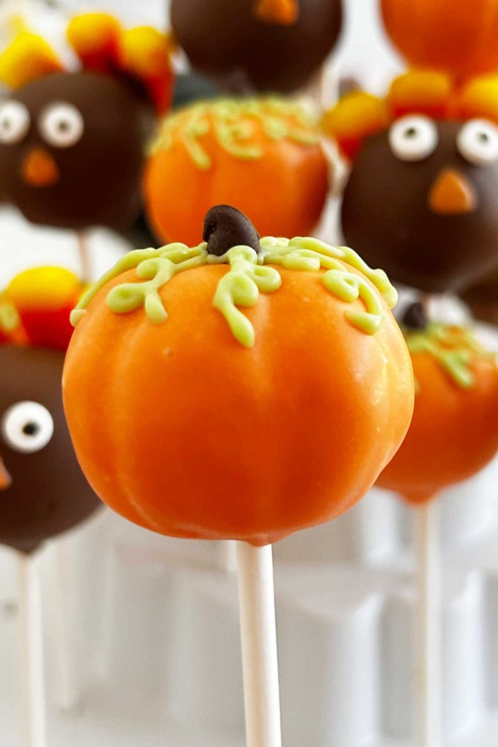 Thanksgiving Cake Pops (Turkey and Pumpkin) - Meatloaf and Melodrama