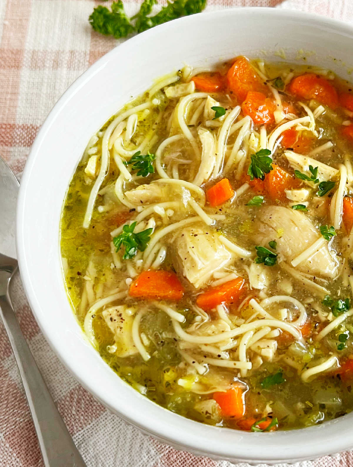 close up of chicken noodle soup with carrots and parsley in a white bowl.