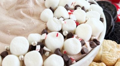 bowl of hot chocolate dip with mini marshmallows and chocolate chips.