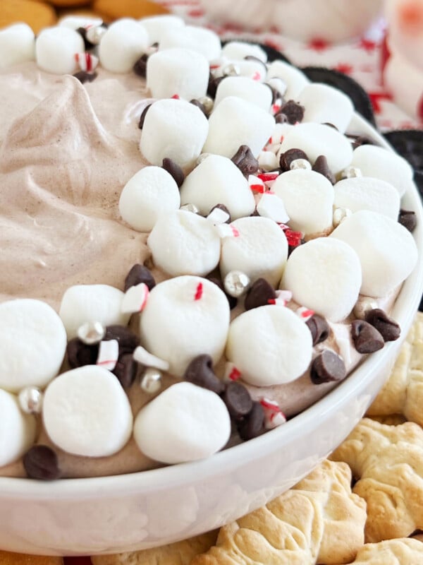bowl of hot chocolate dip with mini marshmallows and chocolate chips.