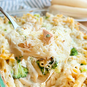 cheesy chicken and broccoli Alfredo casserole with pasta on serving spoon.
