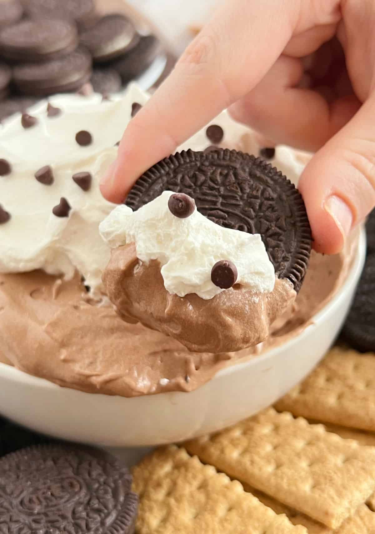 dip Oreo cookie into chocolate pie dip.