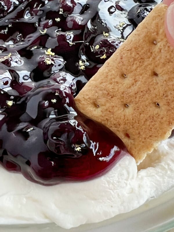 graham cracker in lemon blueberry cheesecake dip.