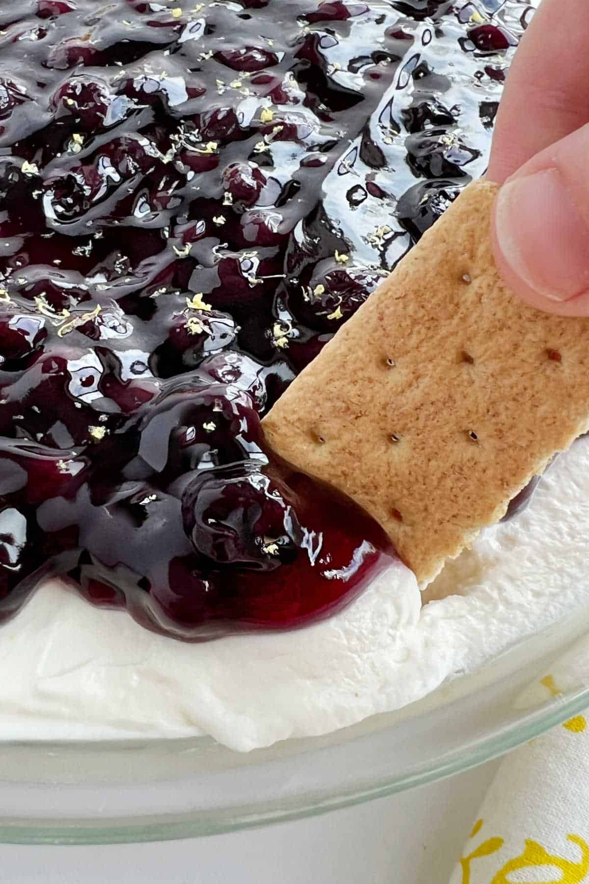 dip graham cracker in lemon blueberry cheesecake dessert.