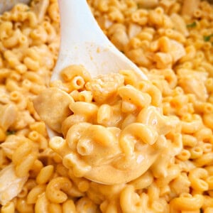 buffalo chicken mac and cheese on a serving spoon.