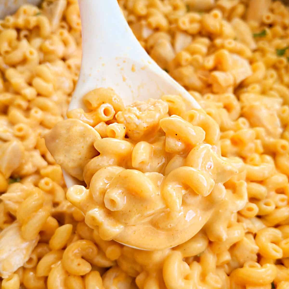 Easy Buffalo Chicken Mac and Cheese - Meatloaf and Melodrama