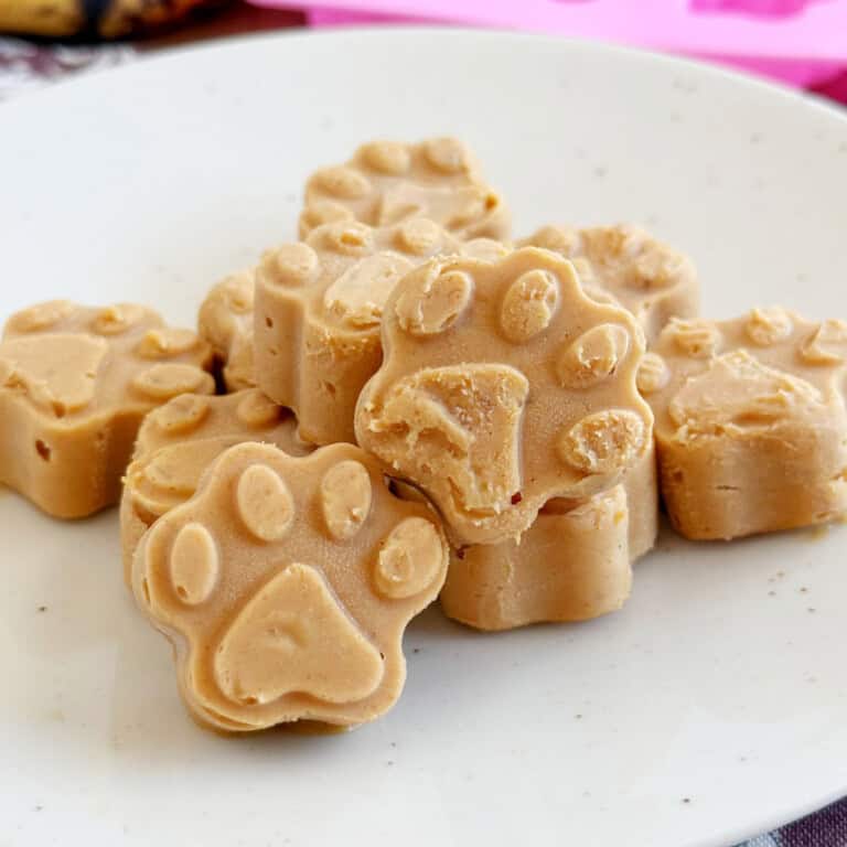 Peanut Butter Banana Dog Treats (3 Ingredients) - Meatloaf and Melodrama