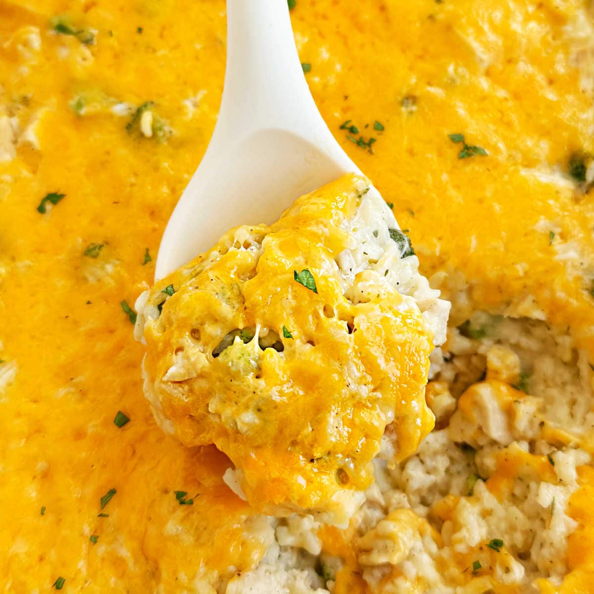 The Easiest Chicken Broccoli Rice Casserole