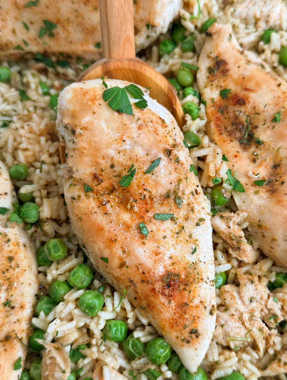 chicken breast with rice and peas on serving spoon.