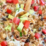 one pan Mexican chicken and rice on spoon.
