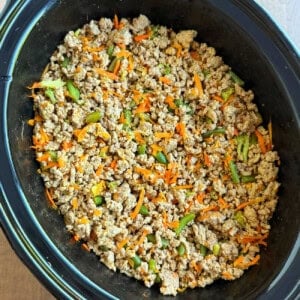 homemade dog food in crock pot.