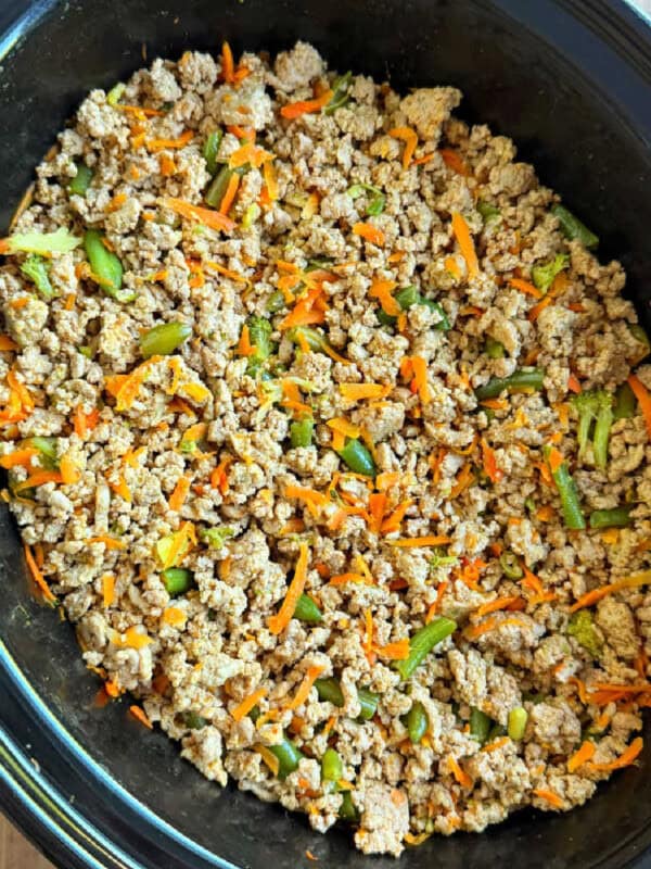 homemade dog food in crock pot.