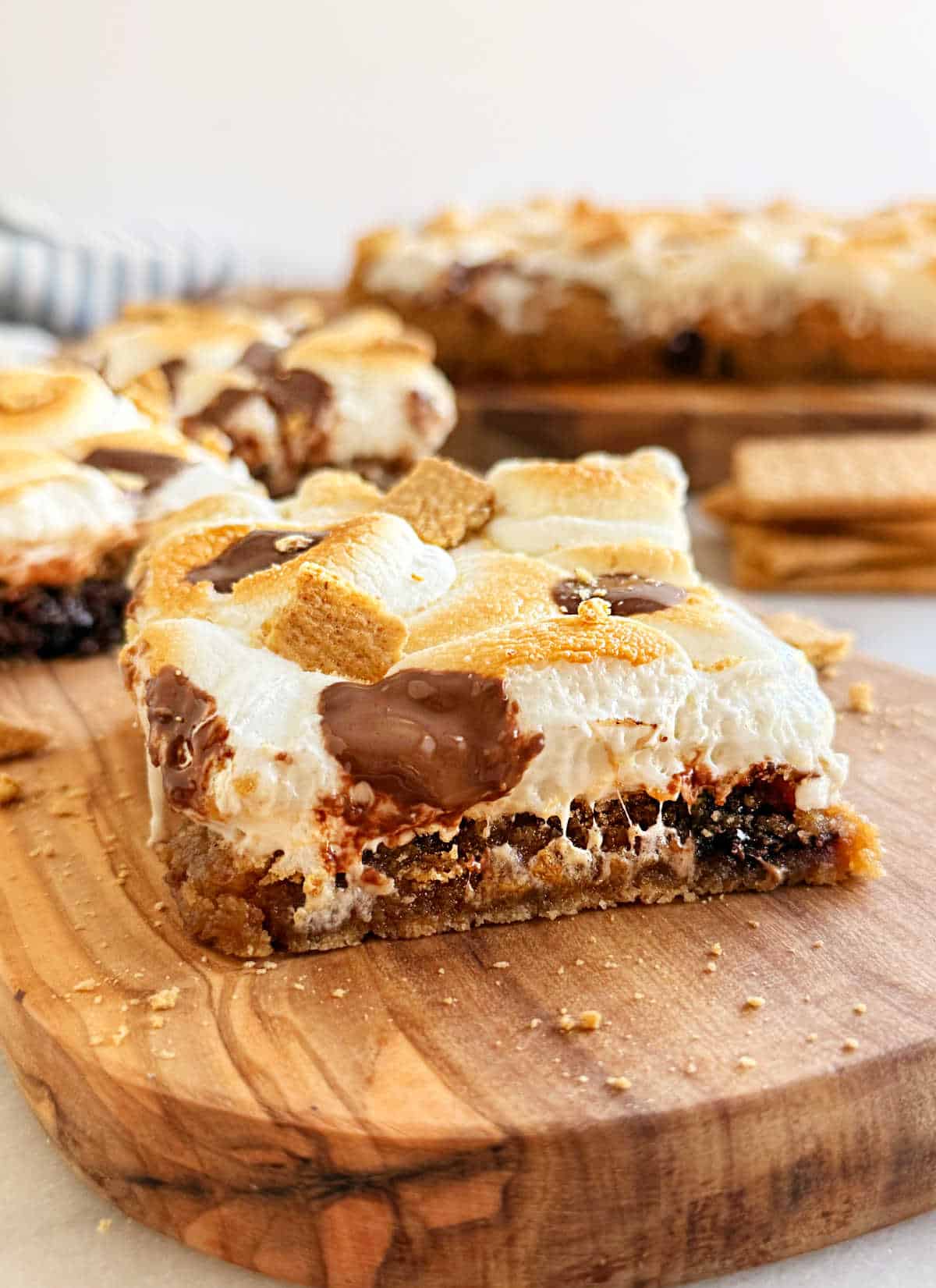 s'mores cookie bars with melted chocolate and toasted marshmallows.