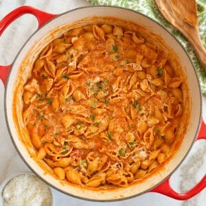creamy chicken pasta with creamy tomato sauce in Dutch oven.