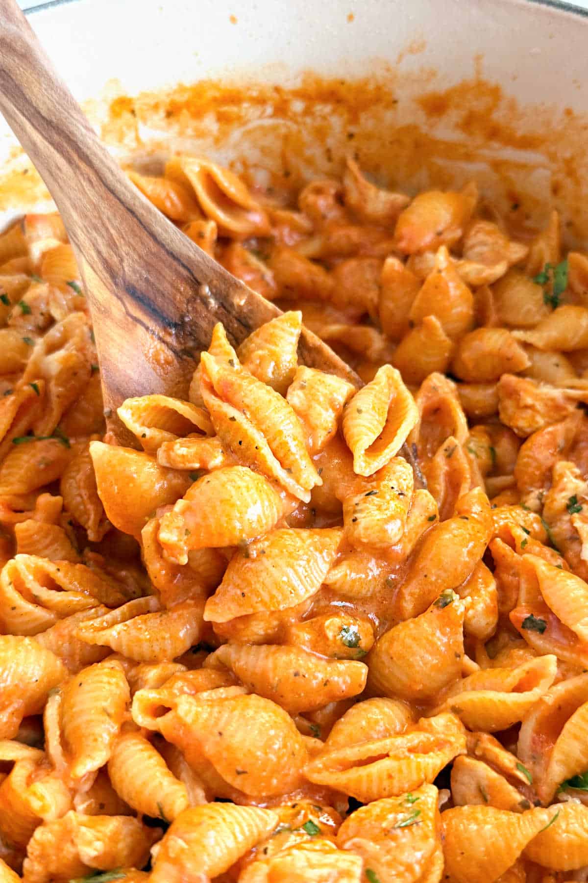 chicken and pasta shells on wooden spoon.