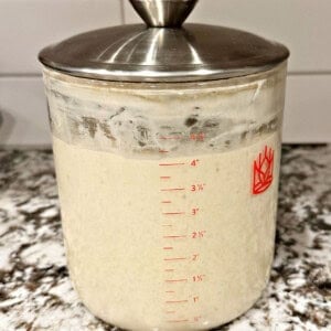 active sourdough starter in jar.