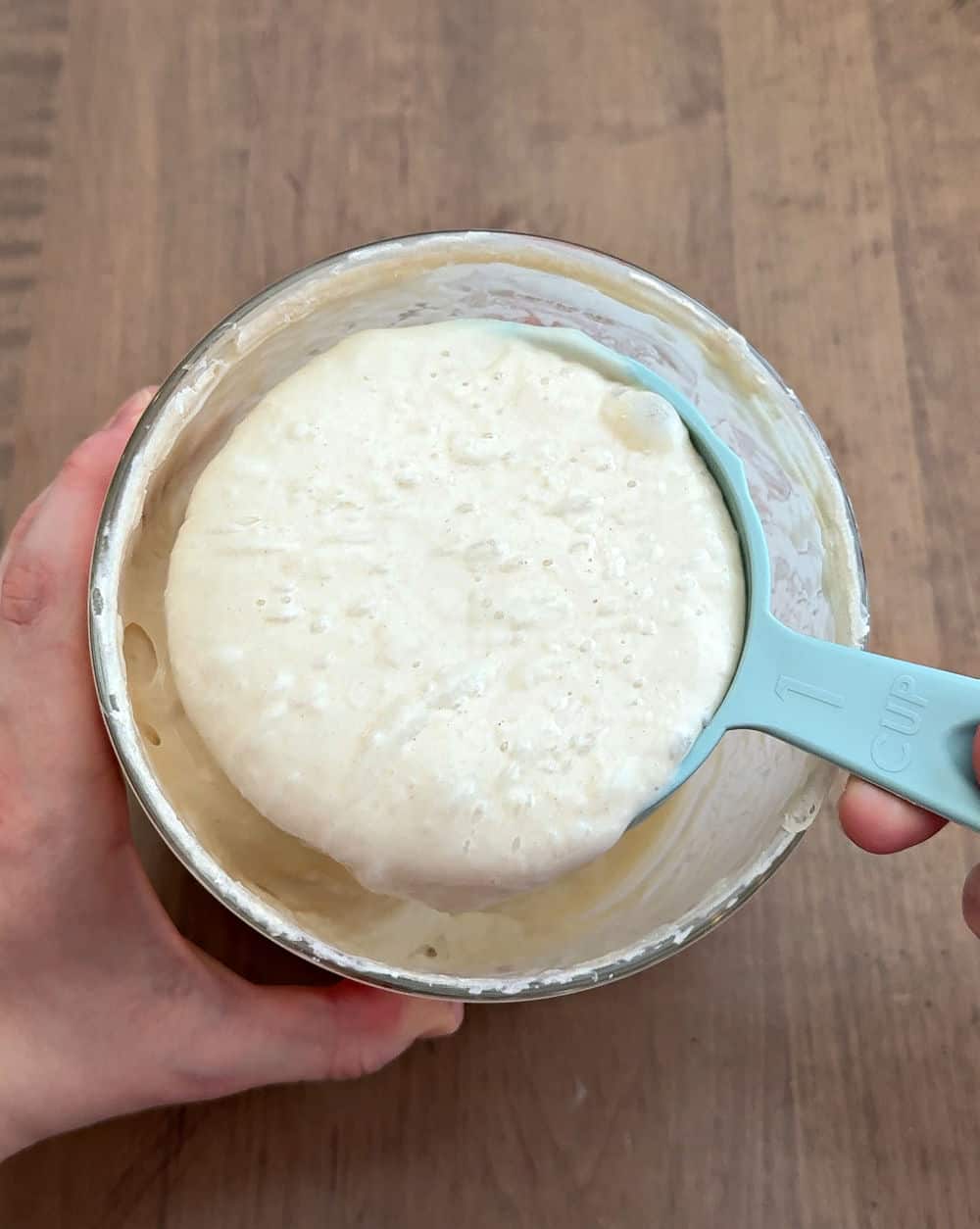 scooping starter out of crock.